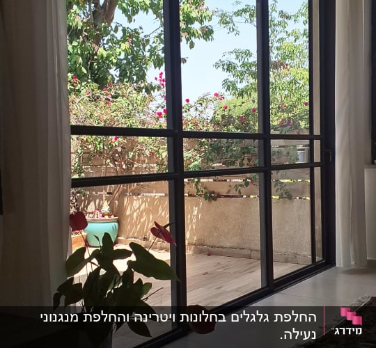 חלונות זכוכית גדולים עם מסגרות שחורות